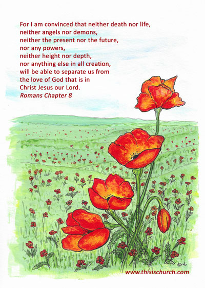 Poppy Remembrance