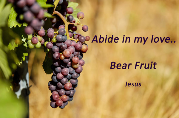 Abide in my love