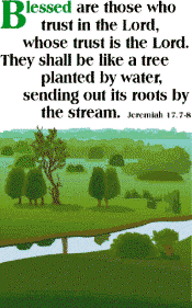 picture of trees by stream