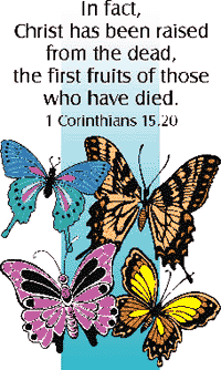 picture of butterflies, Christ is risen