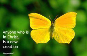 in christ we are a new creation - butterfly