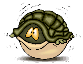 Tortoise, quivering inside its shell