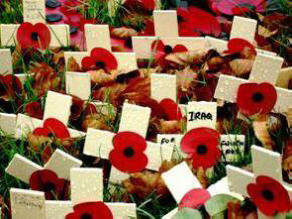 field of wooden poppy crosses