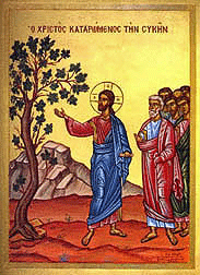 Jesus and the fig tree