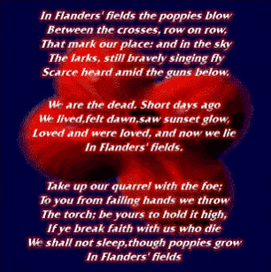 Flanders poppy poem picture