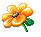 a nice flower