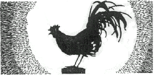 Cock crowing