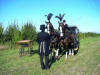 Horse drawn hearse for funerals