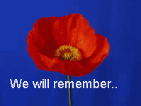 Poppy for remembrance