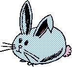 {picture of rabbit}