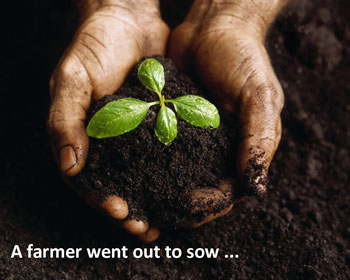 a sower went out to sow