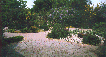 Thumbnail image of view of Garden of Remembrance