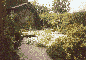 Thumbnail image of view of Garden of Remembrance