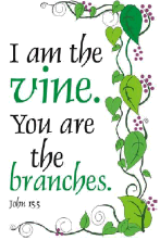 I am the vine