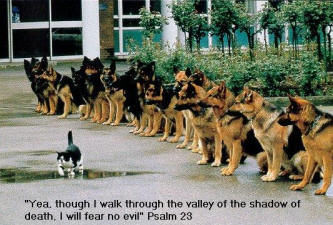 Psalm 23 picture